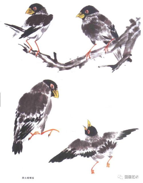 國畫寫意鳥兒100只,什么形態都有,夠用了 學習的好素材