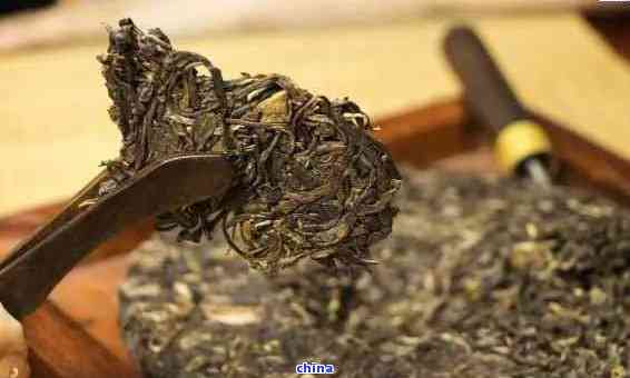 云南特色茶品:探究云雀普洱茶的獨特魅力與品質