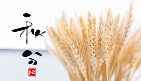 云雀汽車 一年好景君須記,最是秋分到來時