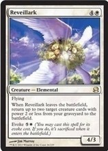 鳥云雀產品參考信息