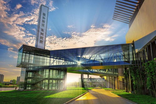 跟著村舞游東阿 一場沉浸式文化之旅